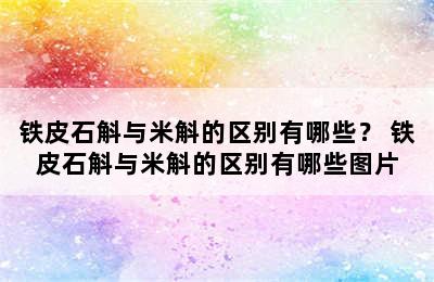 铁皮石斛与米斛的区别有哪些？ 铁皮石斛与米斛的区别有哪些图片